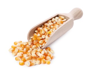 Photo of Fresh corn kernels in wooden scoop isolated on white