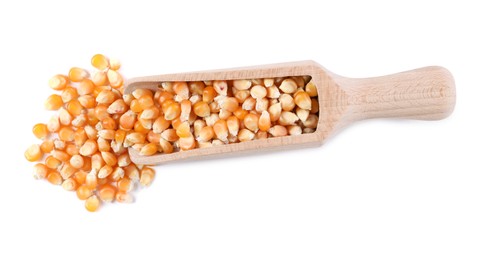 Photo of Fresh corn kernels in wooden scoop isolated on white, top view