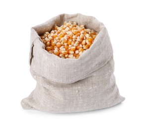 Fresh corn kernels in burlap sack isolated on white