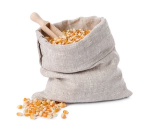 Fresh corn kernels in burlap sack and wooden scoop isolated on white