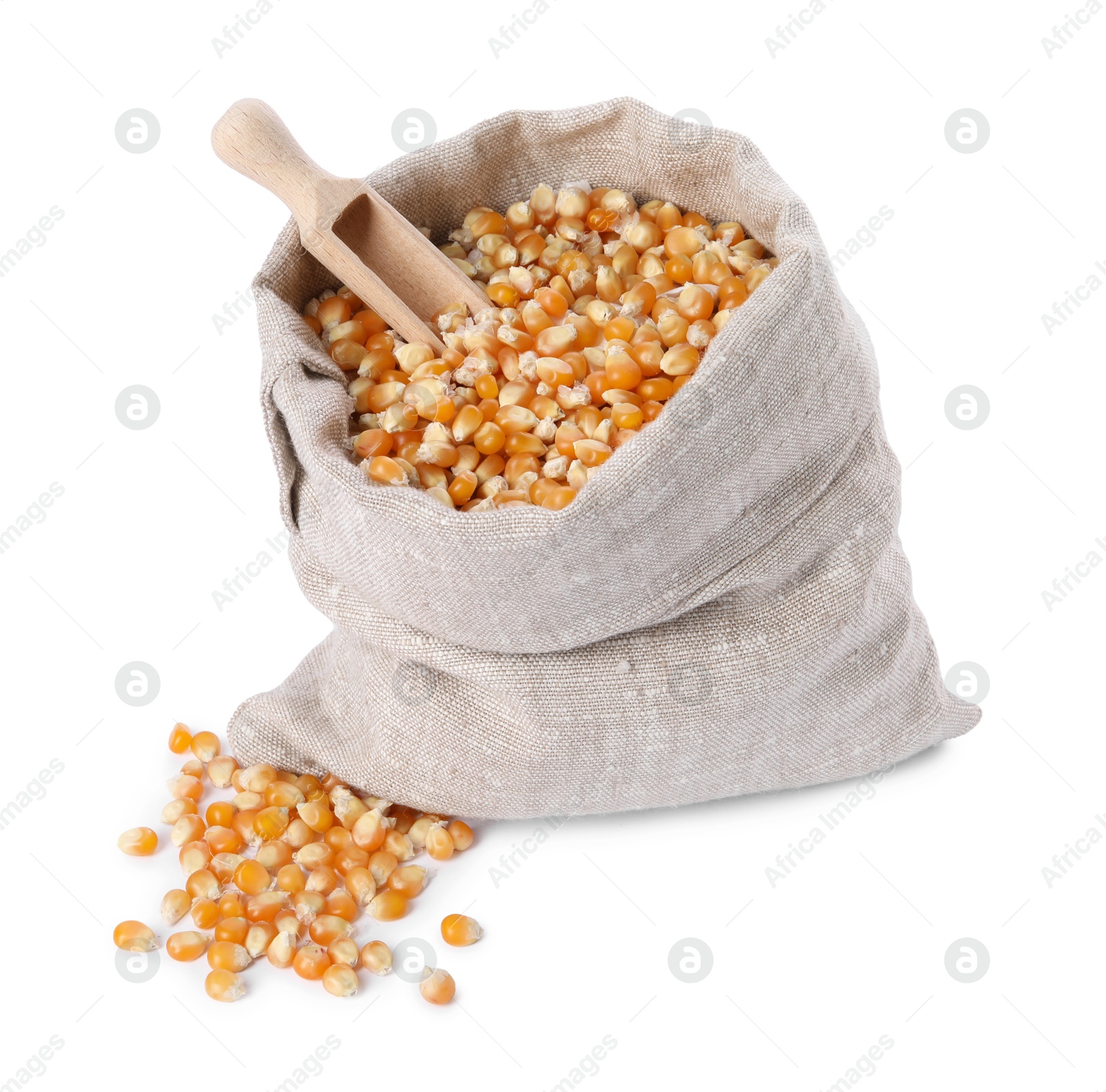 Photo of Fresh corn kernels in burlap sack and wooden scoop isolated on white