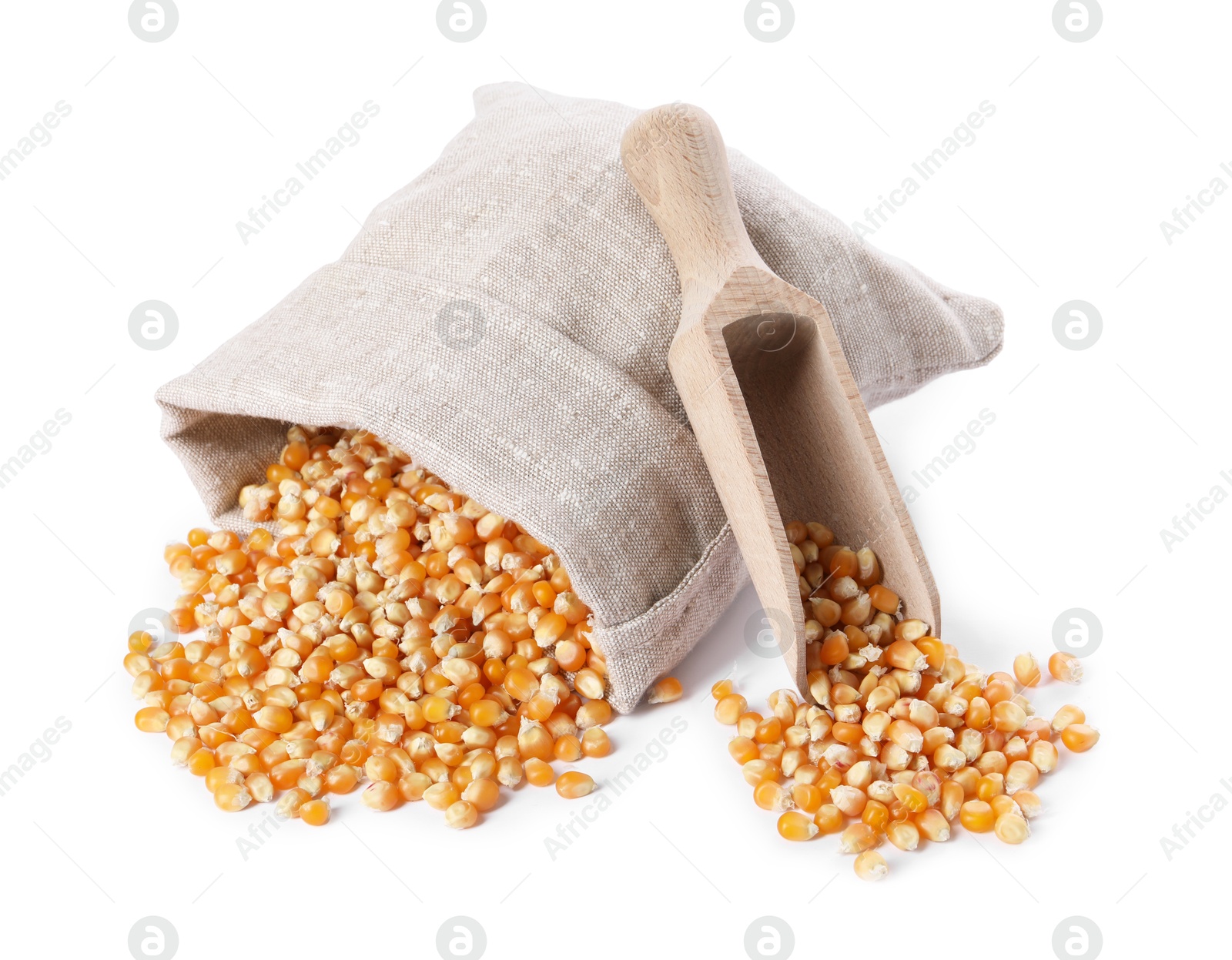 Photo of Fresh corn kernels, overturned burlap sack and wooden scoop isolated on white