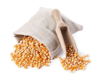 Fresh corn kernels, overturned burlap sack and wooden scoop isolated on white