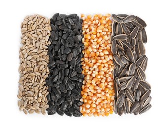 Photo of Different sunflower seeds and corn kernels isolated on white, top view