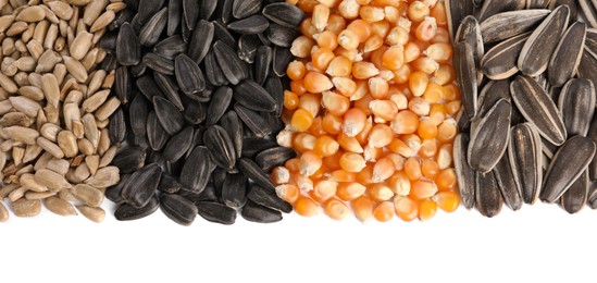 Photo of Different sunflower seeds and corn kernels isolated on white, top view