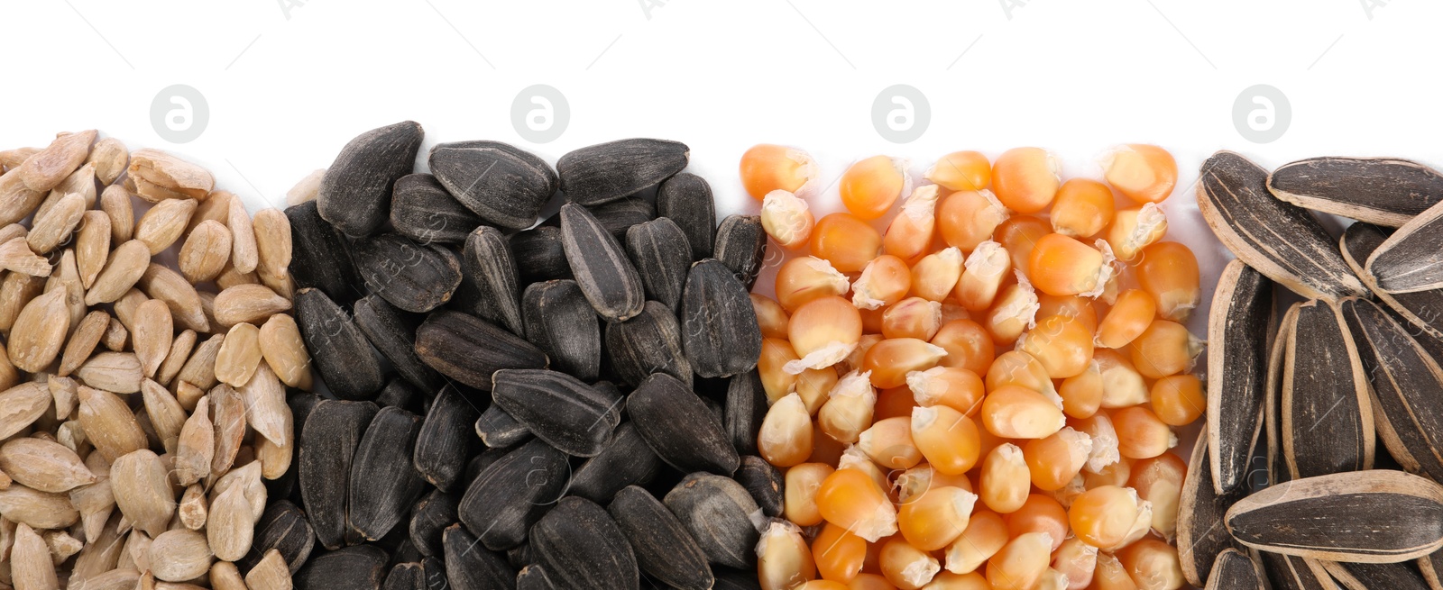 Photo of Different sunflower seeds and corn kernels isolated on white, top view