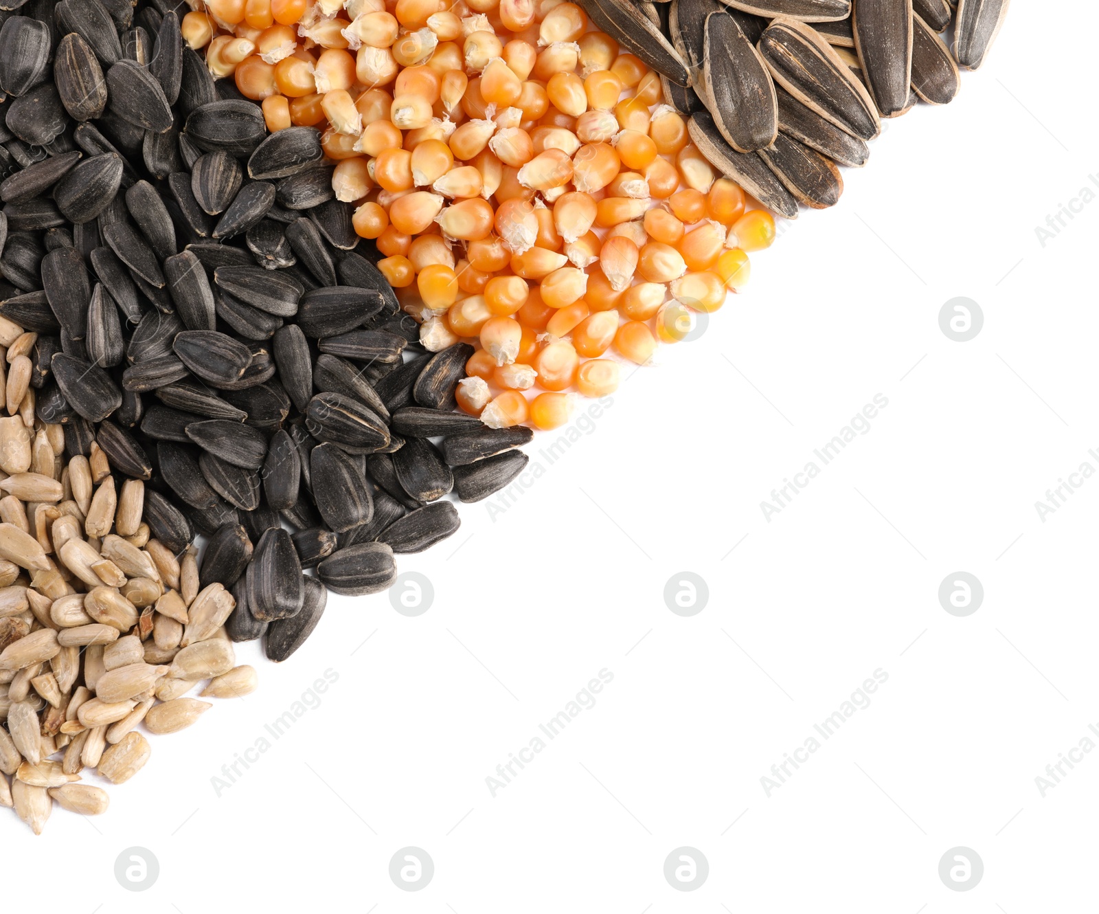 Photo of Different sunflower seeds and corn kernels isolated on white, top view