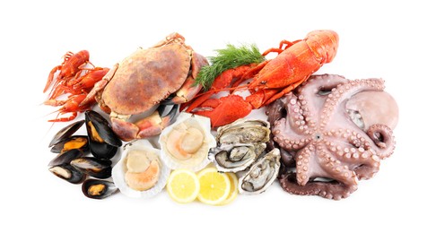 Photo of Fresh raw octopus and different sea food isolated on white, top view