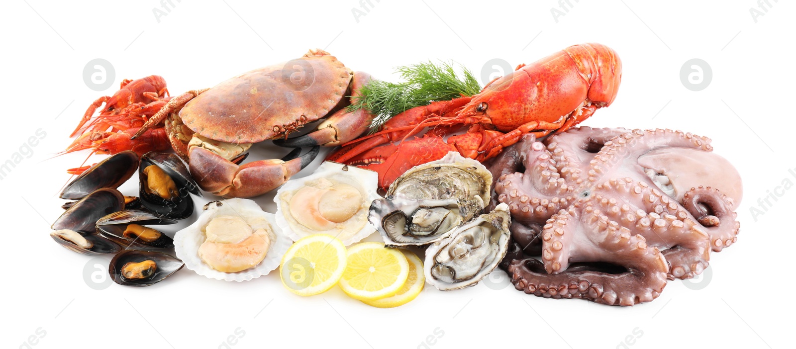 Photo of Fresh raw octopus and different sea food isolated on white