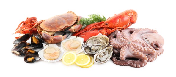 Photo of Fresh raw octopus and different sea food isolated on white