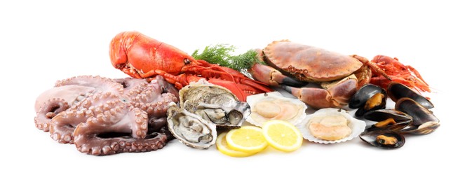 Photo of Fresh raw octopus and different sea food isolated on white