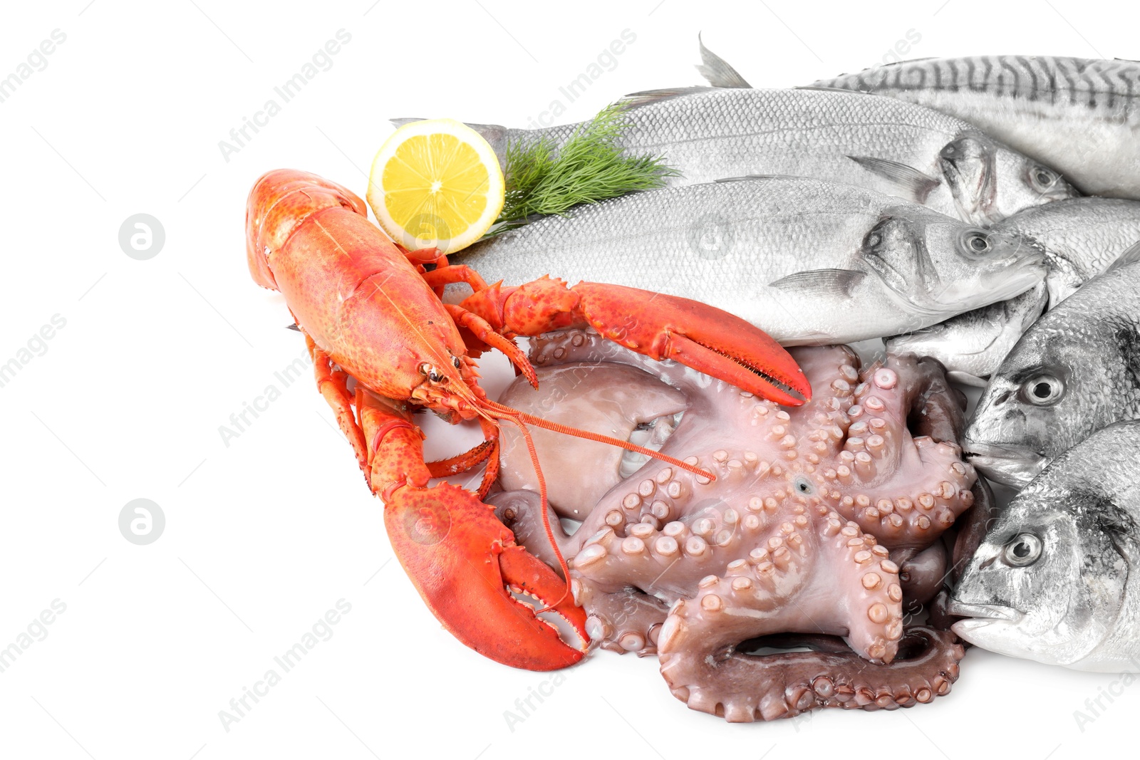 Photo of Fresh fish and different sea food isolated on white, top view