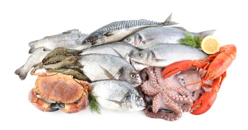 Fresh fish and different sea food isolated on white, top view