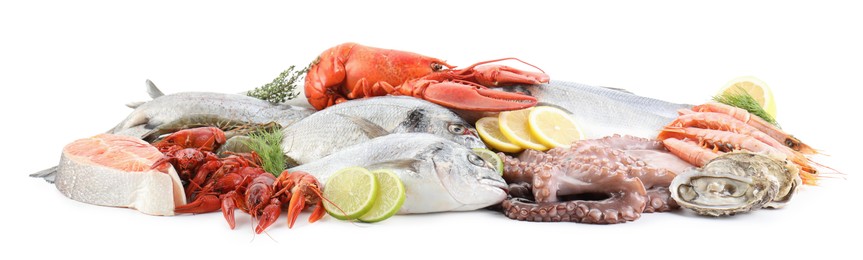 Photo of Fresh fish and different sea food isolated on white