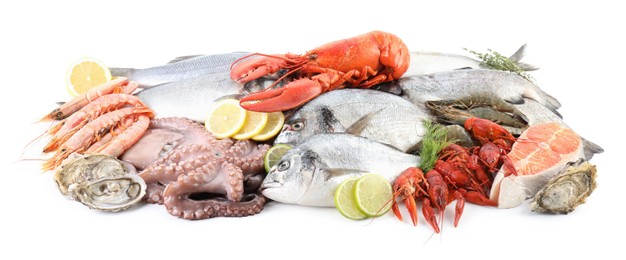 Fresh fish and different sea food isolated on white