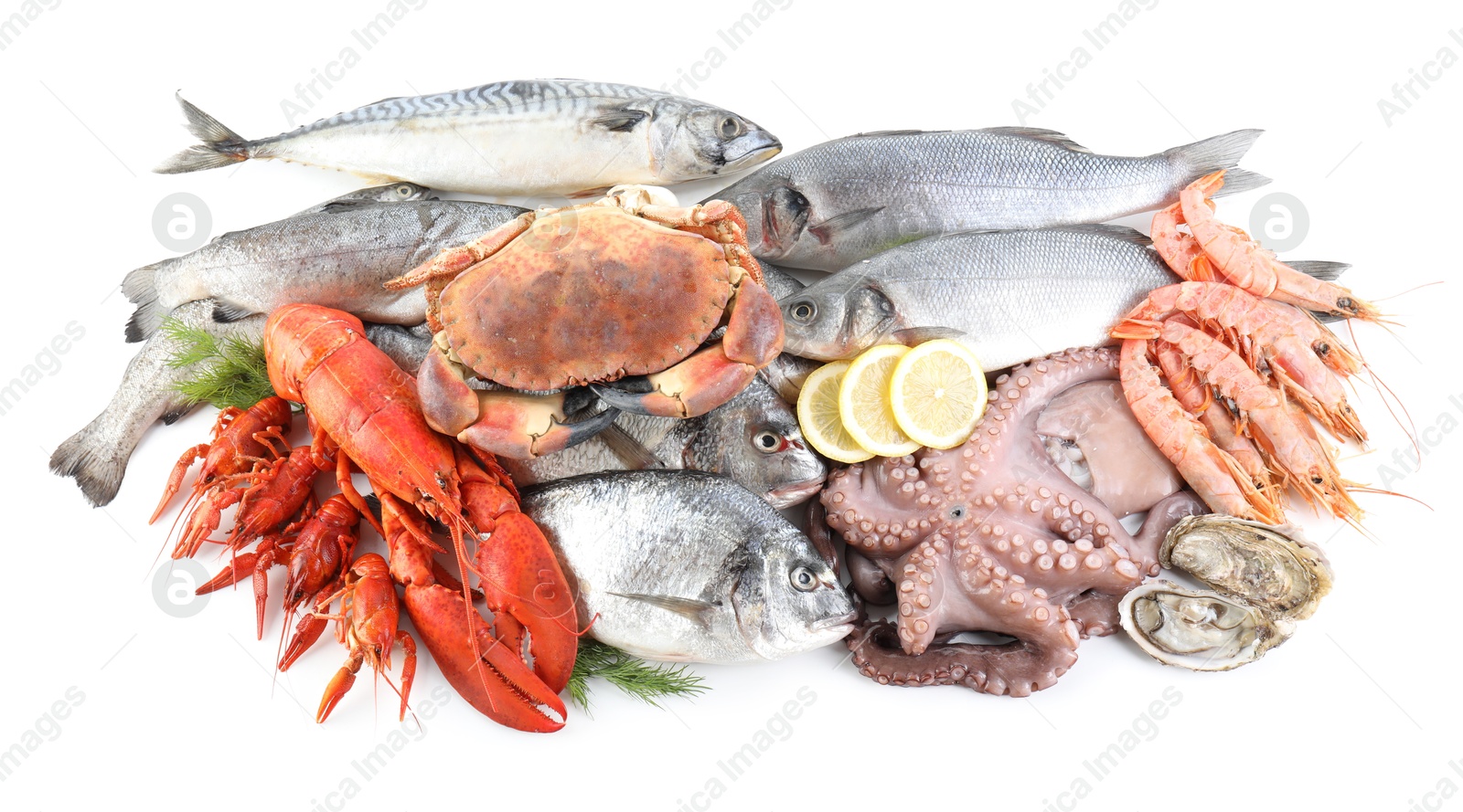 Photo of Fresh fish and different sea food isolated on white, top view