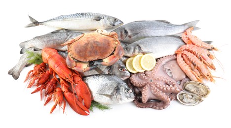 Fresh fish and different sea food isolated on white, top view