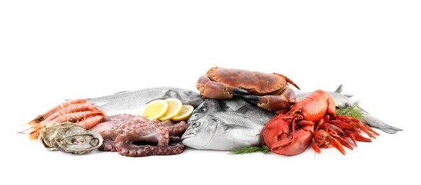 Fresh fish and different sea food isolated on white