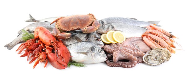 Fresh fish and different sea food isolated on white