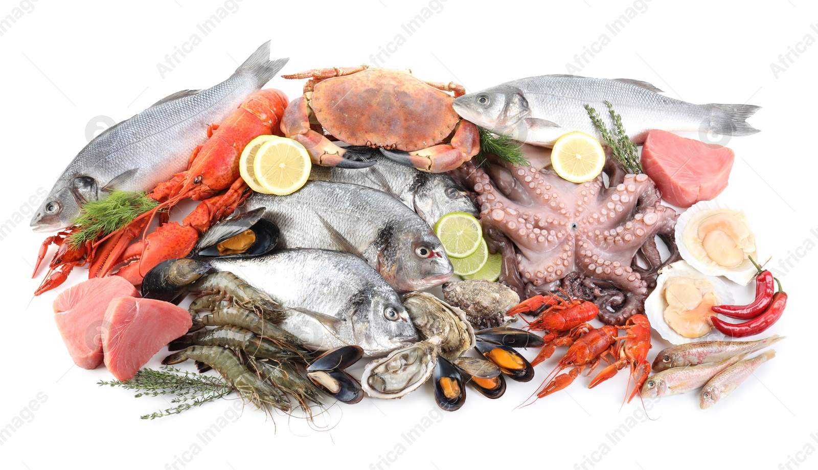 Photo of Fresh fish and different sea food isolated on white, top view