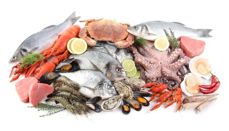 Photo of Fresh fish and different sea food isolated on white, top view