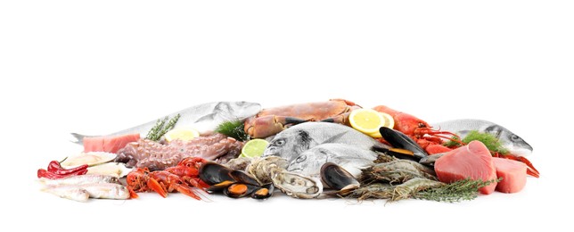 Fresh fish and different sea food isolated on white