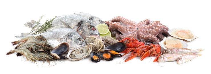 Photo of Fresh fish and different sea food isolated on white