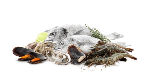 Photo of Fresh fish and different sea food isolated on white