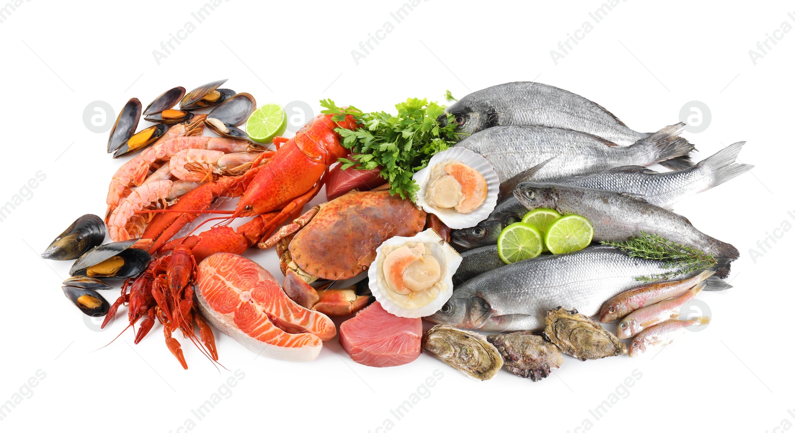 Photo of Fresh fish and different sea food isolated on white