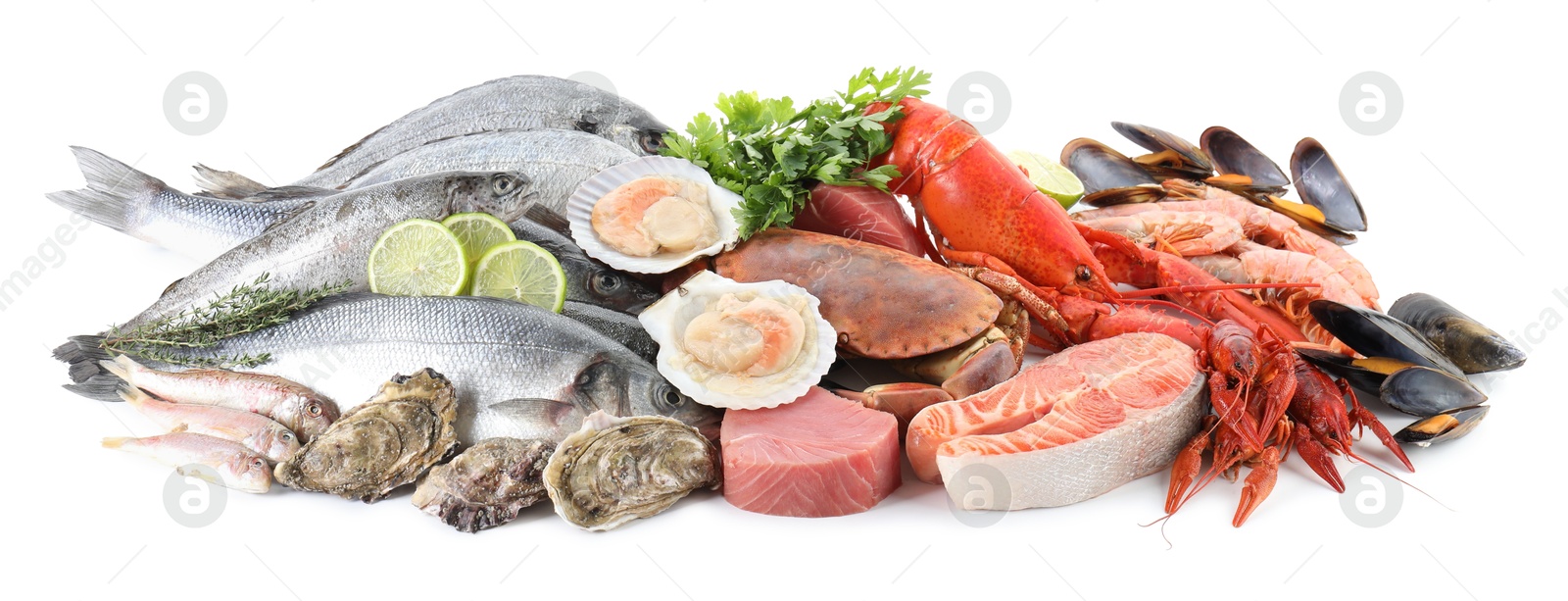 Photo of Fresh fish and different sea food isolated on white