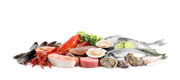 Photo of Fresh fish and different sea food isolated on white