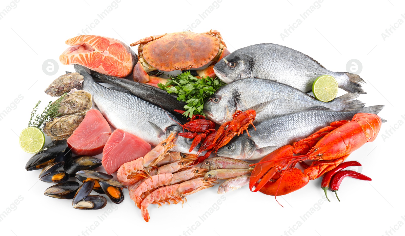 Photo of Fresh fish and different sea food isolated on white, top view