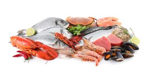 Fresh fish and different sea food isolated on white