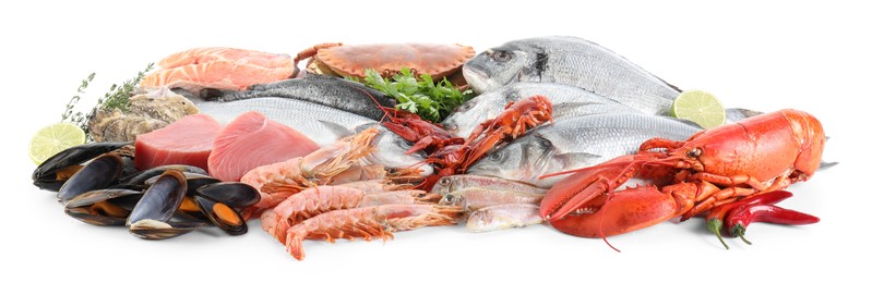 Fresh fish and different sea food isolated on white