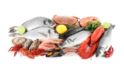 Fresh fish and different sea food isolated on white