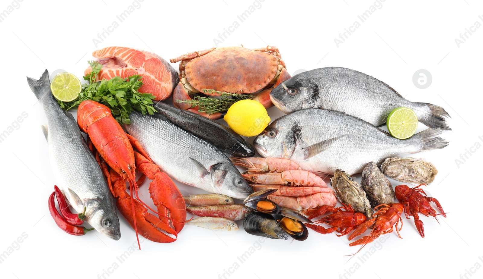 Photo of Fresh fish and different sea food isolated on white, top view