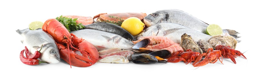 Photo of Fresh fish and different sea food isolated on white