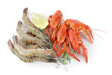 Photo of Crayfishes, shrimps, lemon and thyme isolated on white, top view. Sea food