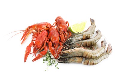 Photo of Crayfishes, shrimps, lemon and thyme isolated on white. Sea food