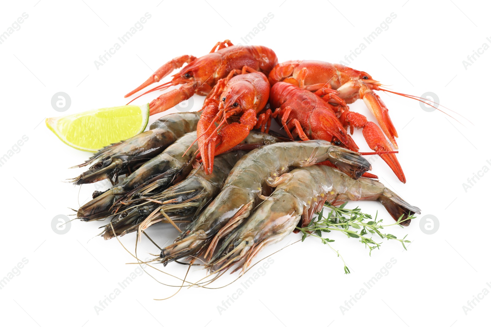 Photo of Crayfishes, shrimps, lemon and thyme isolated on white. Sea food