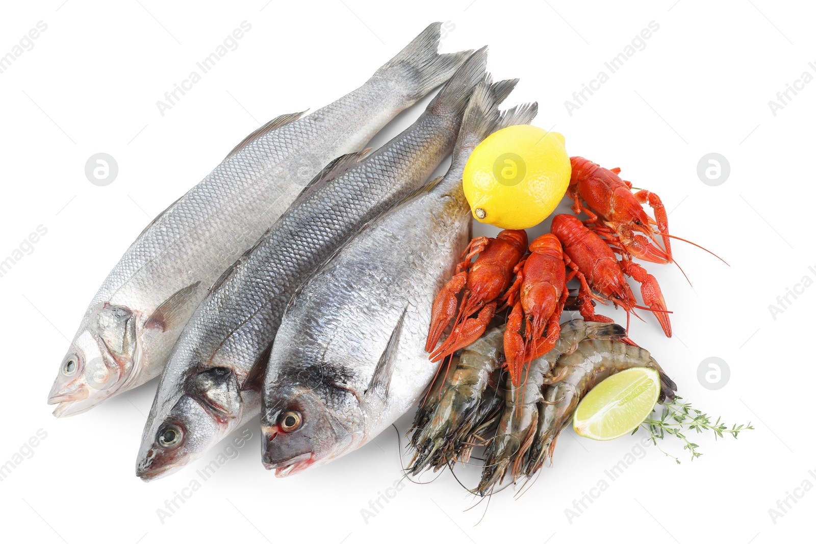 Photo of Sea food with lemon and thyme isolated on white, top view