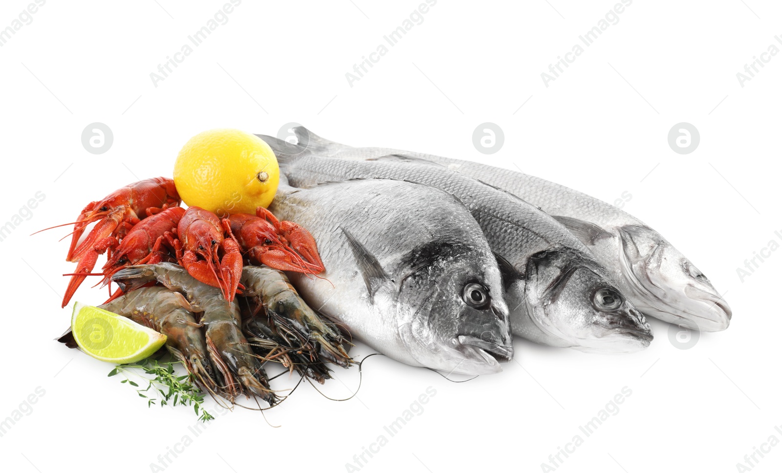 Photo of Sea food with lemon and thyme isolated on white