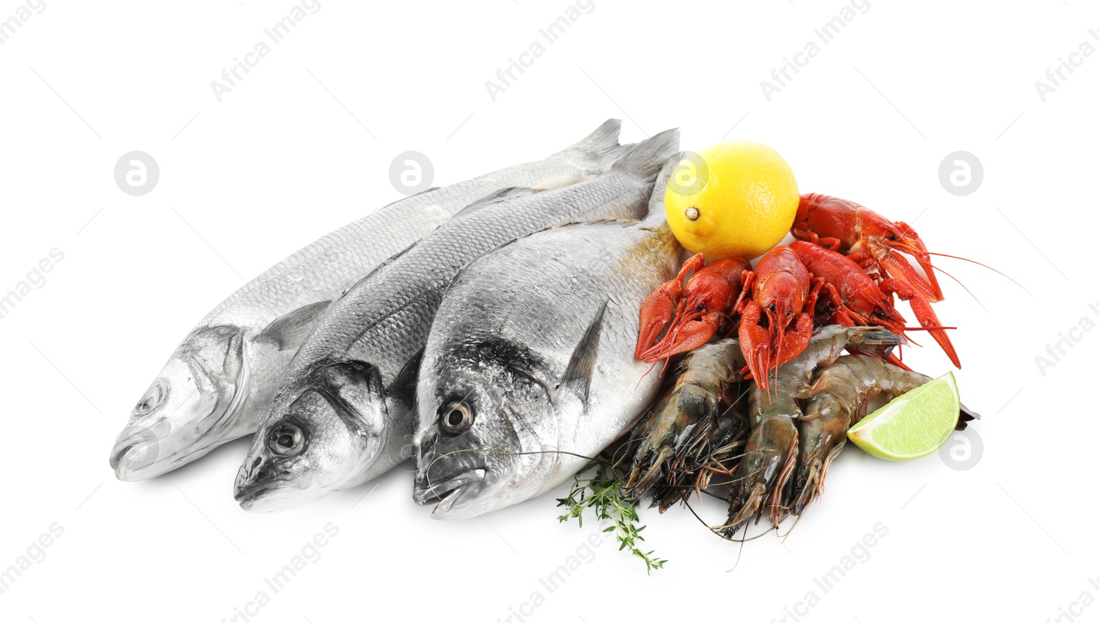 Photo of Sea food with lemon and thyme isolated on white