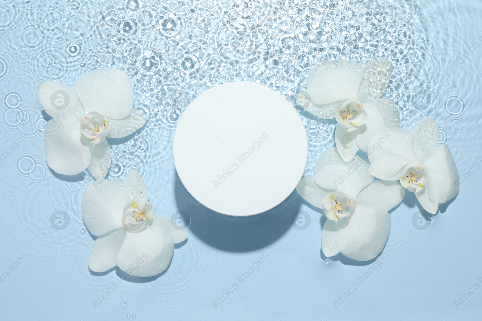 Photo of Beautiful orchid flowers and podium in water on light blue background, flat lay. Presentation for product