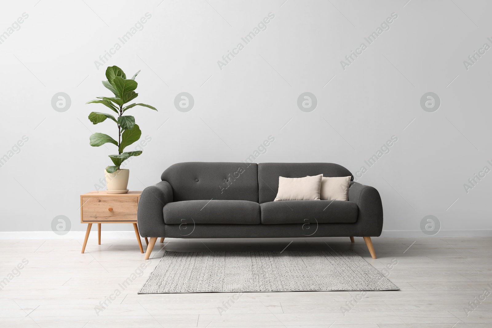 Photo of Comfortable sofa, houseplant and table near grey wall in room