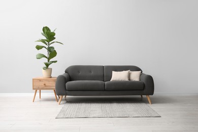 Comfortable sofa, houseplant and table near grey wall in room