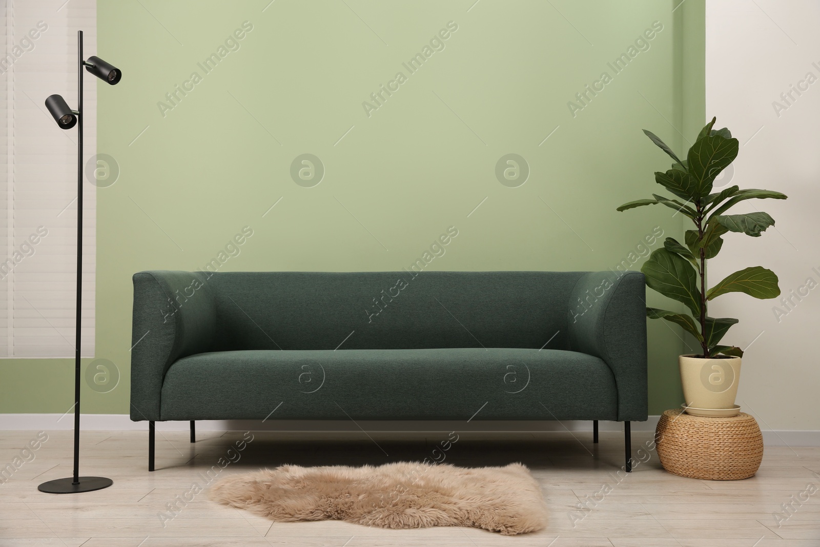 Photo of Stylish sofa, houseplant and lamp near green wall indoors