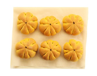 Photo of Parchment with tasty pumpkin shaped buns isolated on white, top view