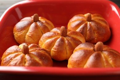 Photo of Tasty pumpkin shaped buns in baking tray, closeup