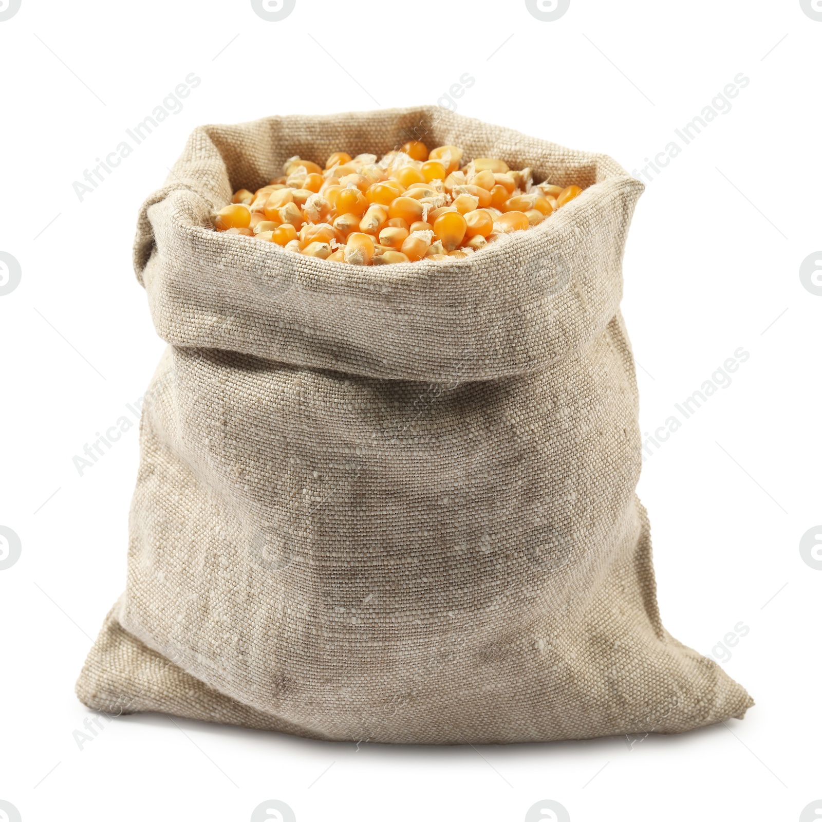 Photo of Fresh corn kernels in burlap sack isolated on white